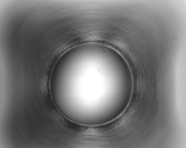 X0000089421265200706221147