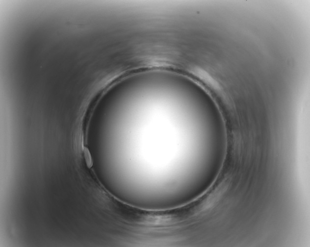 X0000089421269200706221147