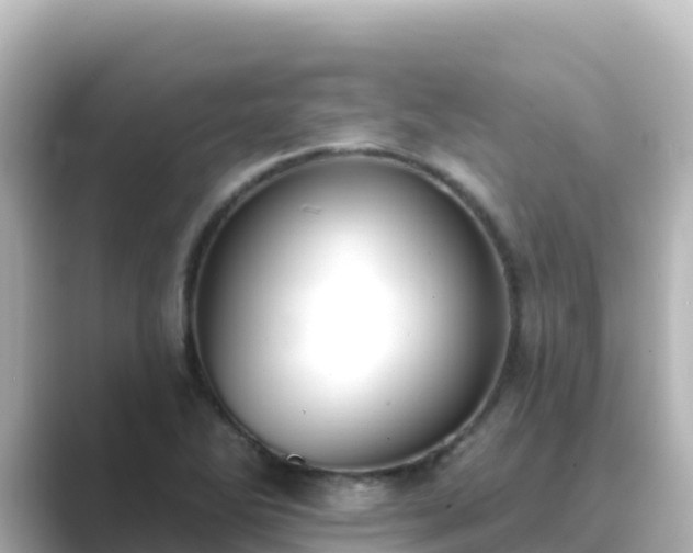 X0000089421270200706221147