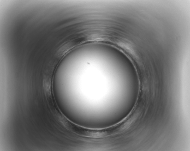 X0000089421273200706221147
