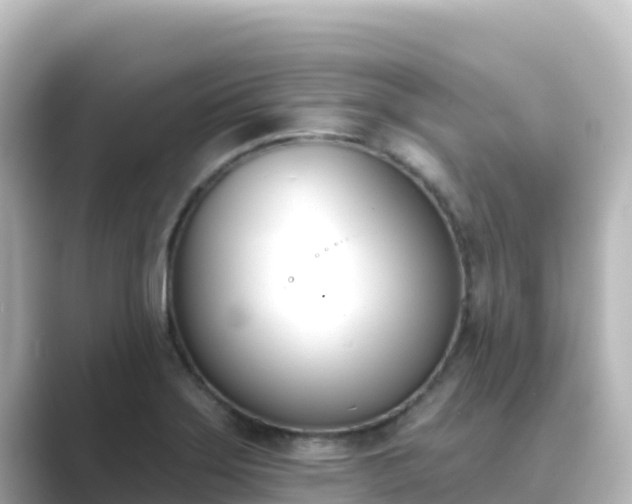 X0000089421275200706221147