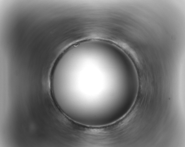 X0000089421280200706221146