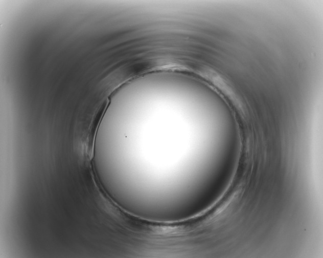 X0000089421281200706221146