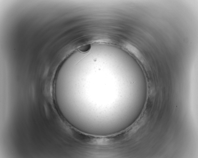 X0000089421282200706221146