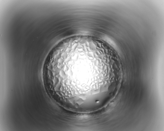 X0000089421283200706221146