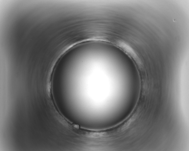 X0000089421284200706221146