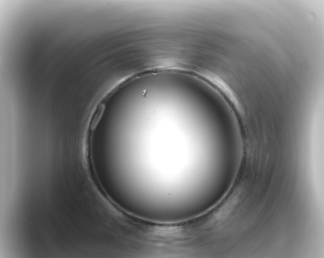 X0000089421285200706221146