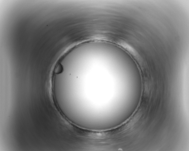 X0000089421286200706221146
