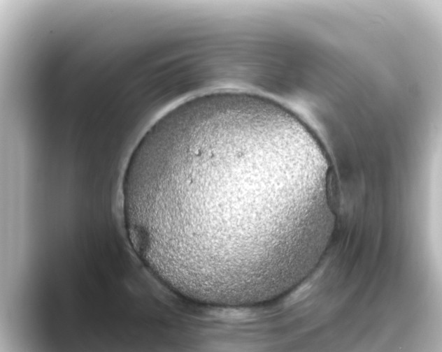 X0000089421287200706221146
