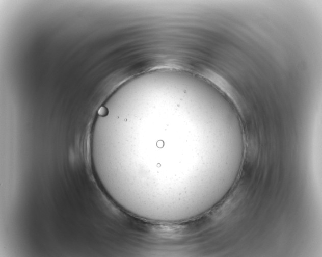 X0000089421290200706221146