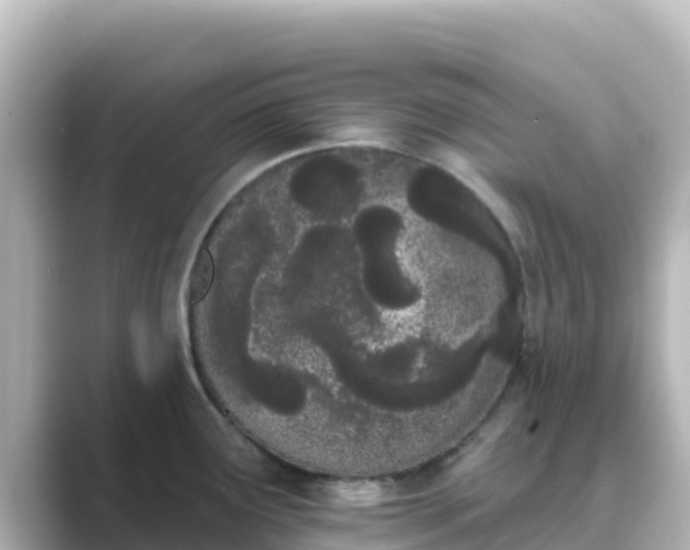 X0000089421291200706221146