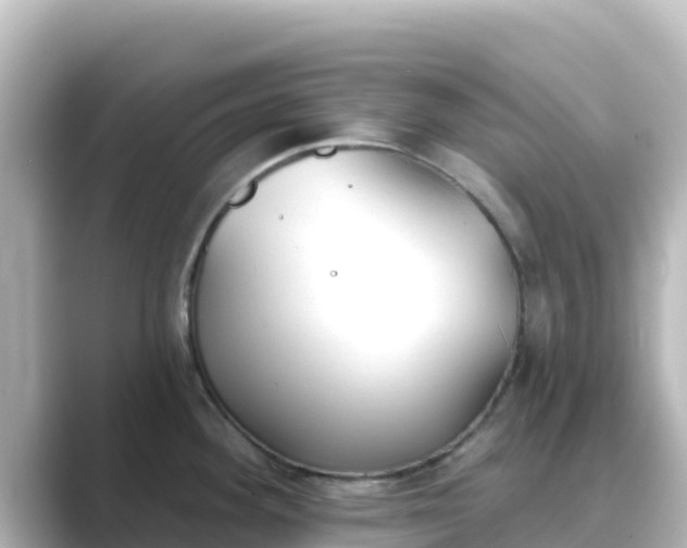 X0000089421292200706221146