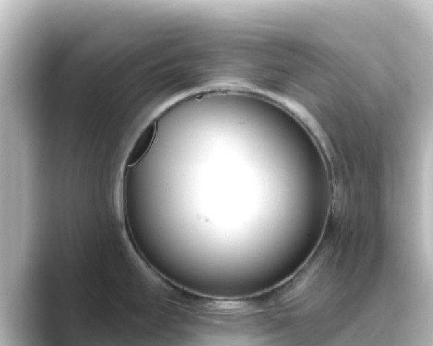 X0000089421295200706221146
