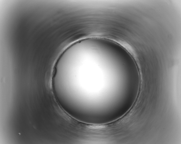 X0000089421296200706221146