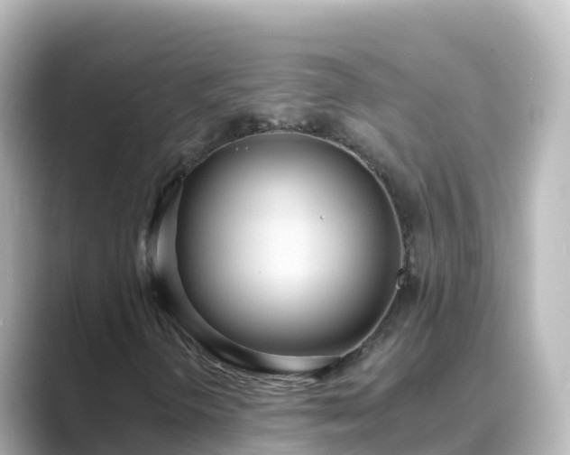X0000089421298200706221146
