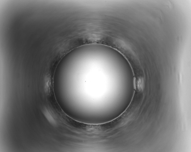 X0000089421299200706221146