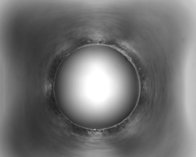 X0000089421302200706221146