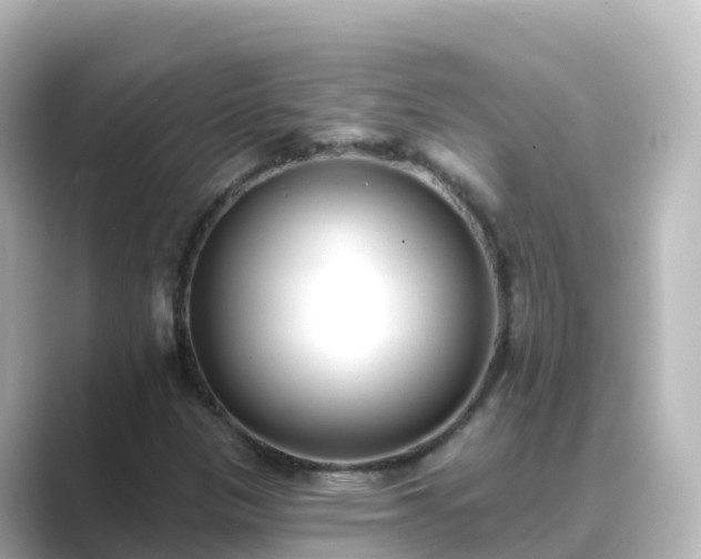 X0000089421305200706221146