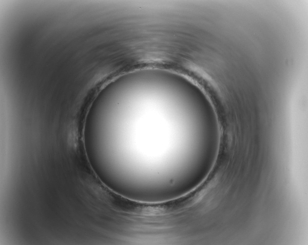 X0000089421306200706221146