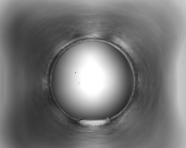 X0000089421308200706221146
