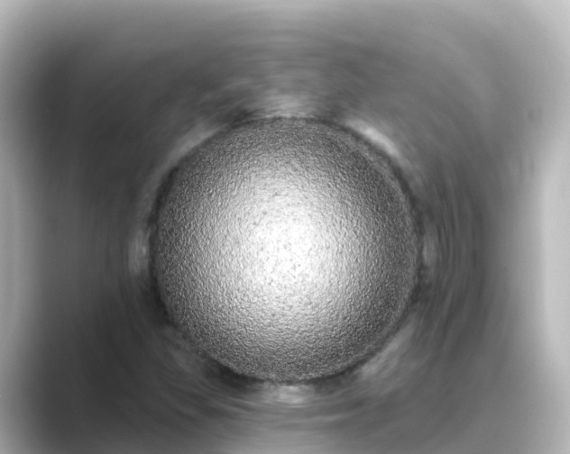 X0000089421309200706221146