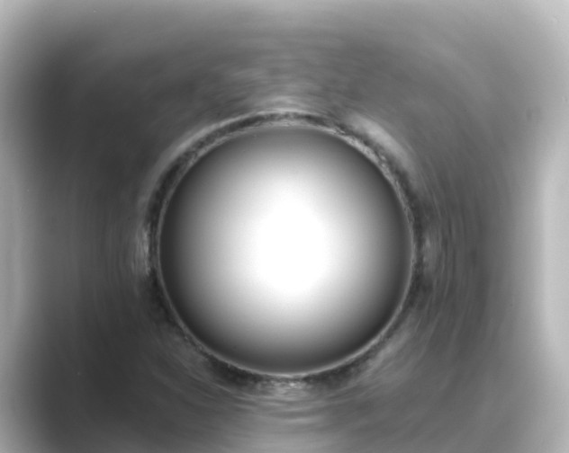 X0000089421310200706221146