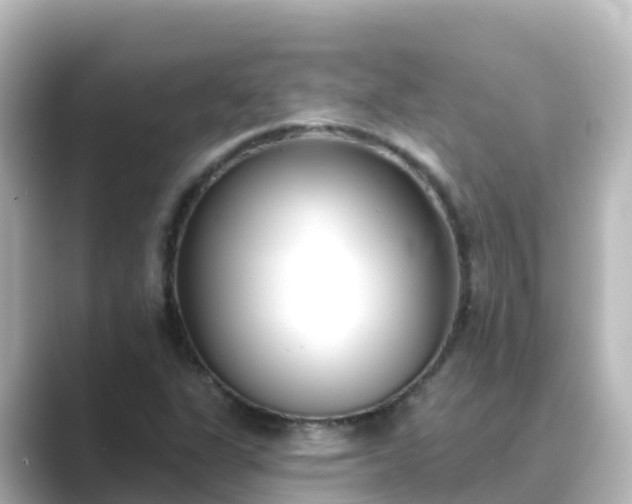 X0000089421311200706221146