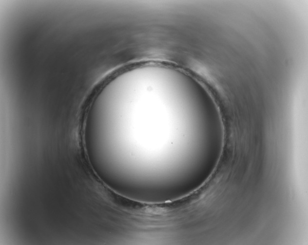 X0000089421312200706221146