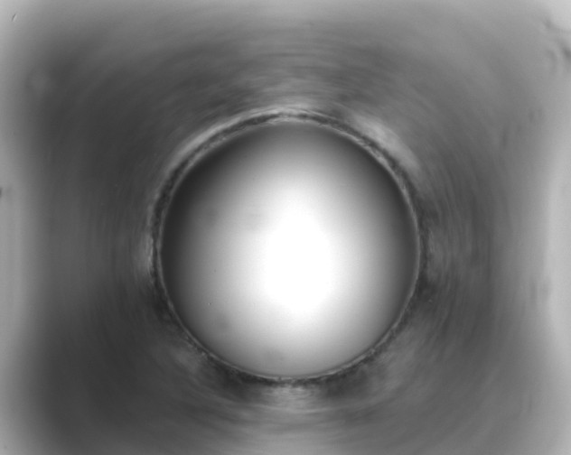 X0000089421316200706221146