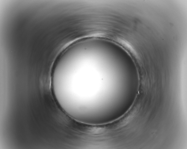 X0000089421324200706221146
