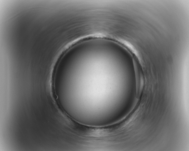 X0000089421327200706221146