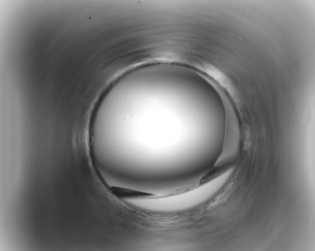 X0000089421334200706221146