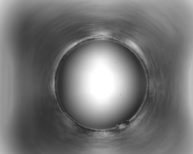 X0000089421336200706221146