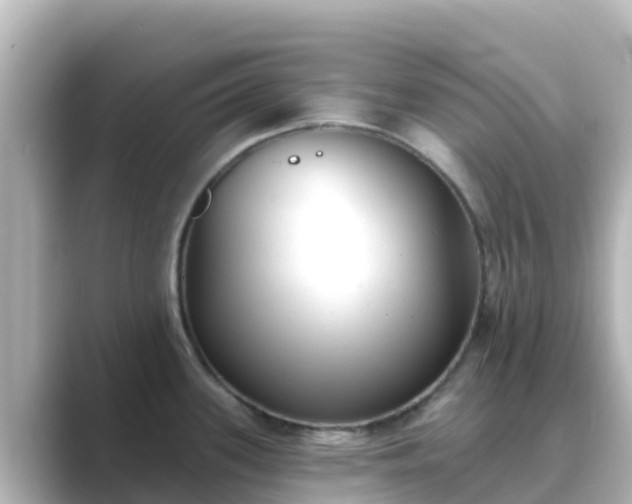 X0000089421339200706221146