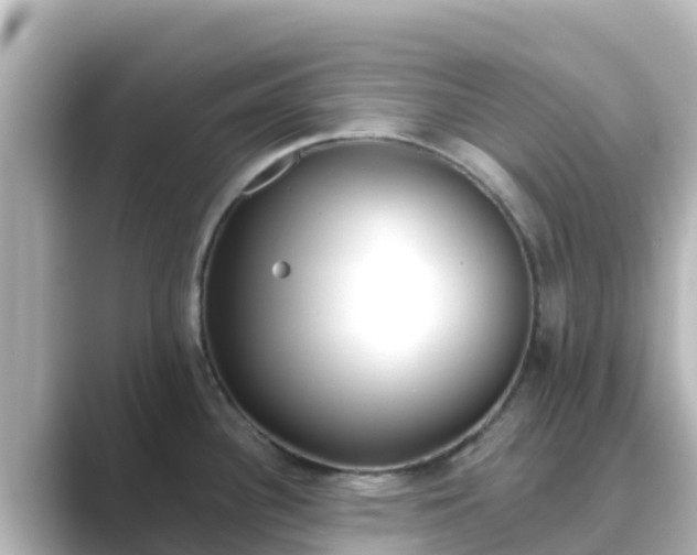 X0000089421340200706221146