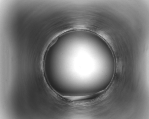 X0000089421342200706221146