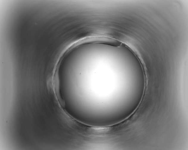 X0000089421344200706221146