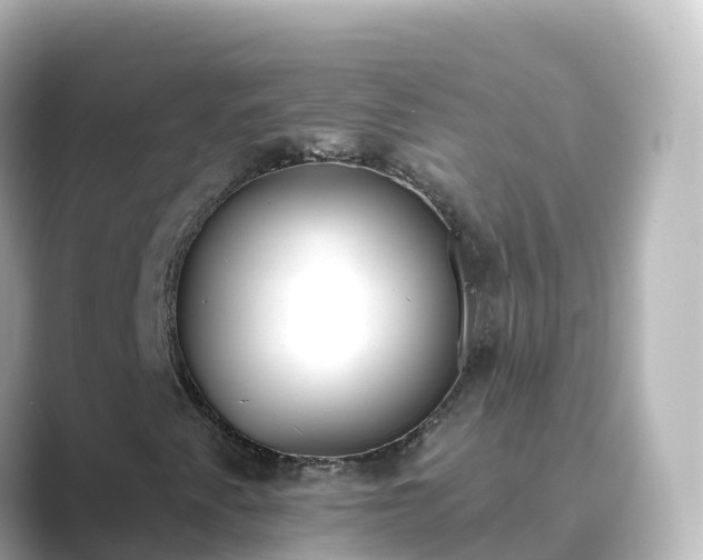 X0000089421345200706221146