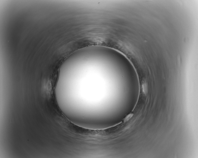 X0000089421347200706221146