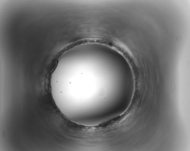 X0000089421352200706221146