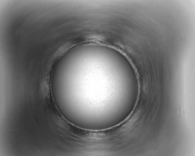 X0000089421354200706221146