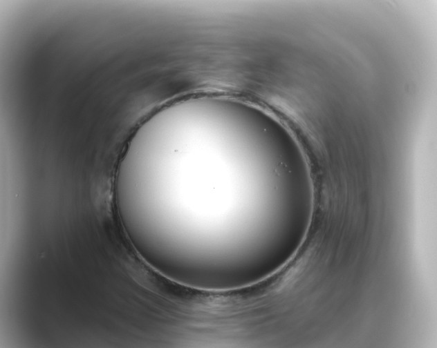 X0000089421355200706221146