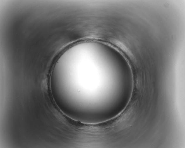 X0000089421356200706221146