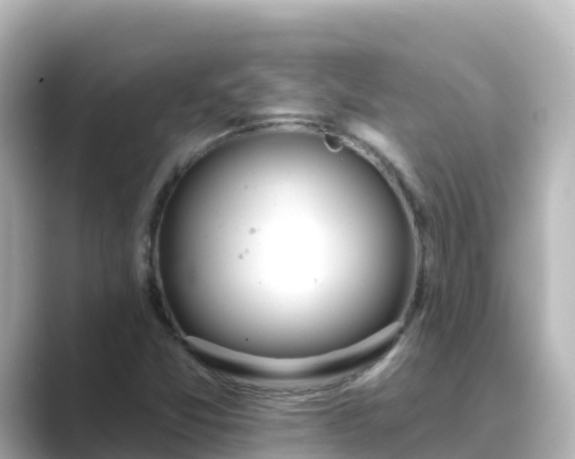 X0000089421357200706221146