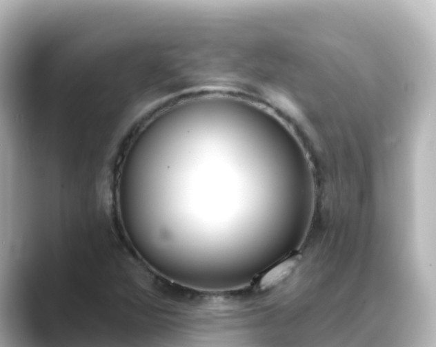 X0000089421360200706221146