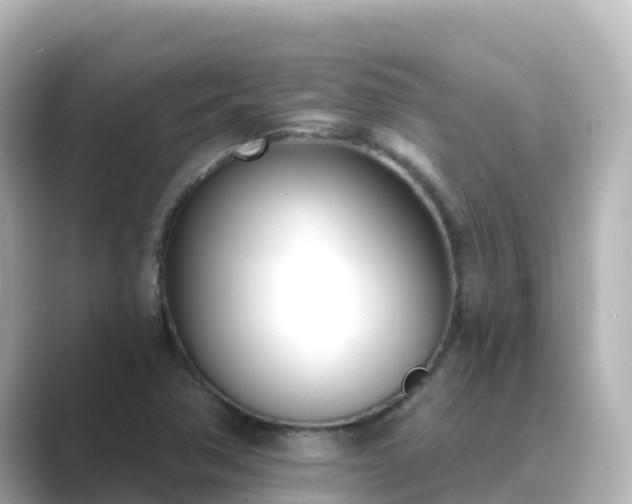 X0000089421362200706221146