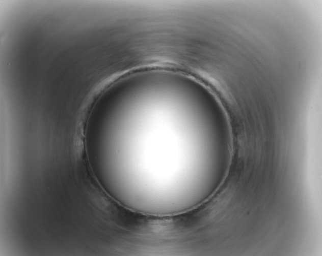 X0000089421363200706221146