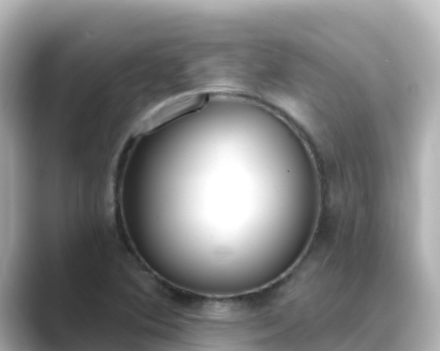 X0000089421364200706221146
