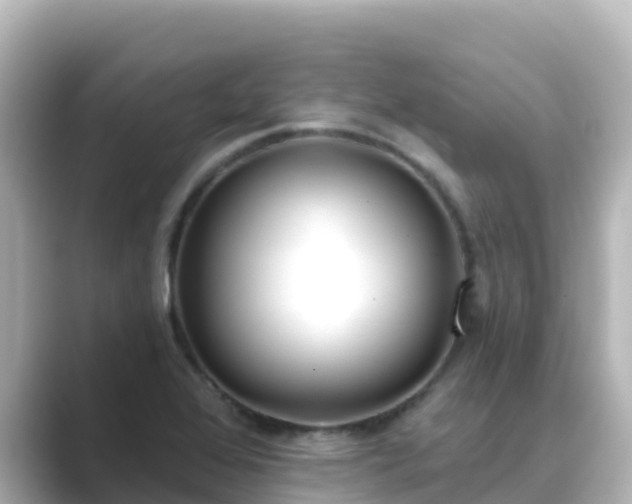 X0000089421368200706221145