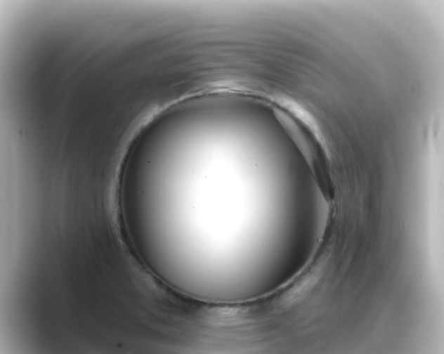 X0000089421373200706221145